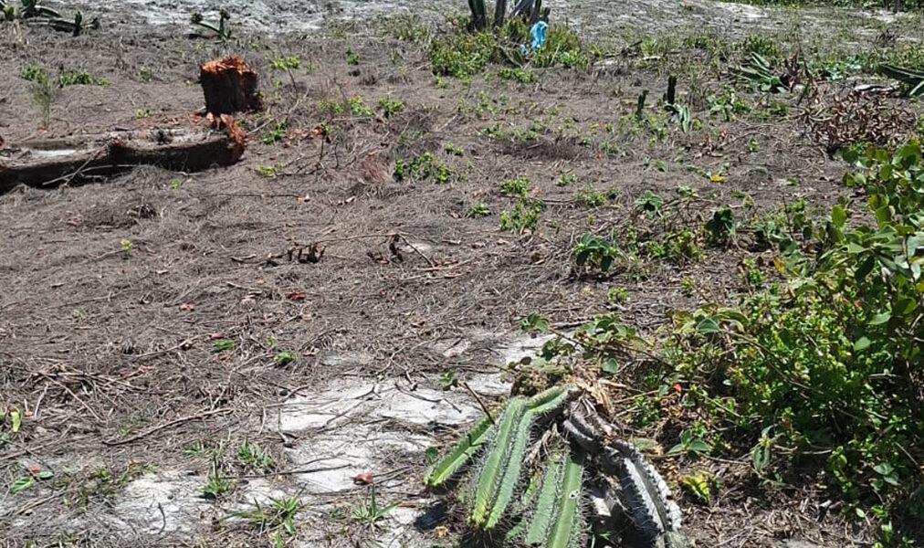 Incêndio controlado em área de restinga protegida no bairro Foguete, em Cabo Frio