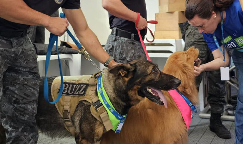 Cães da Prefeitura de Arraial do Cabo mostram trabalho e carisma em evento educacional