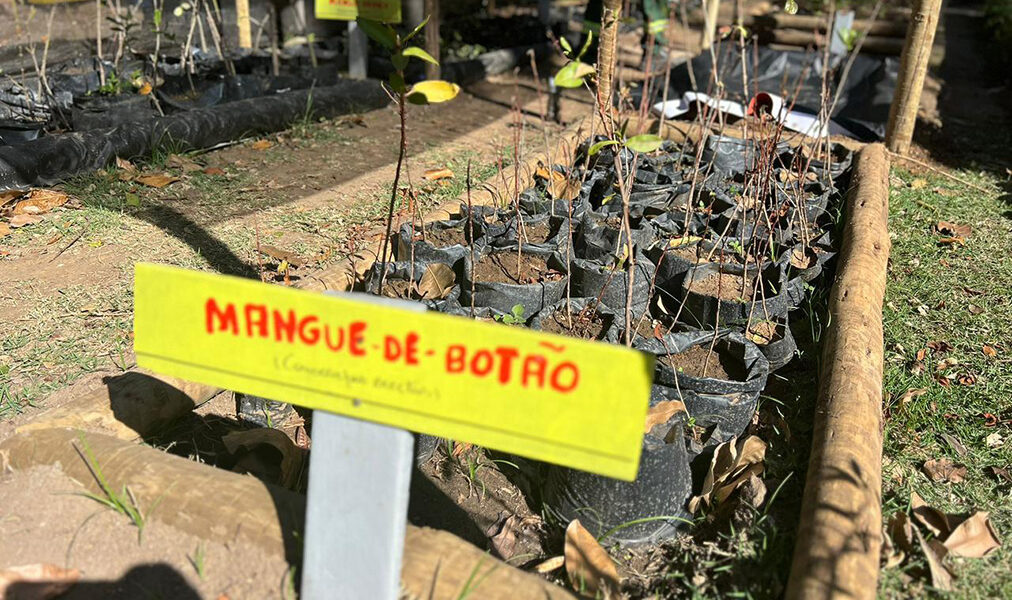 Projeto fortalece compromisso com sustentabilidade em Cabo Frio