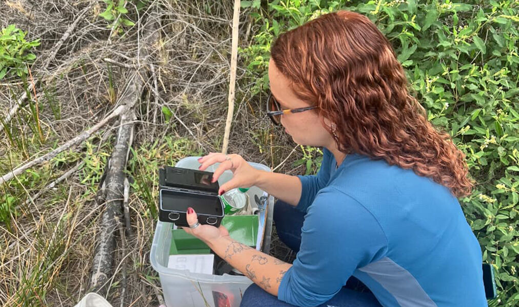 Arraial do Cabo explora potencial científico do manguezal de Monte Alto