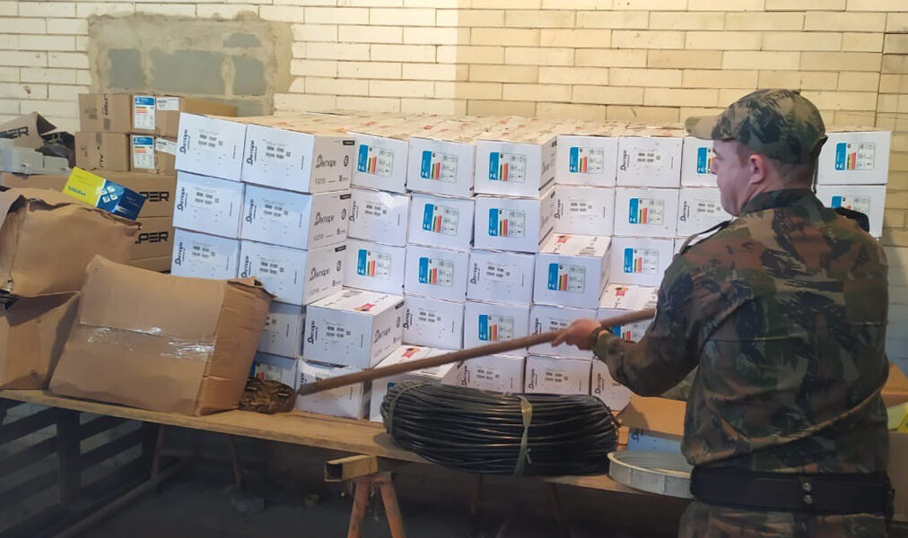 Guarda Ambiental realiza resgate de jiboia em Macaé