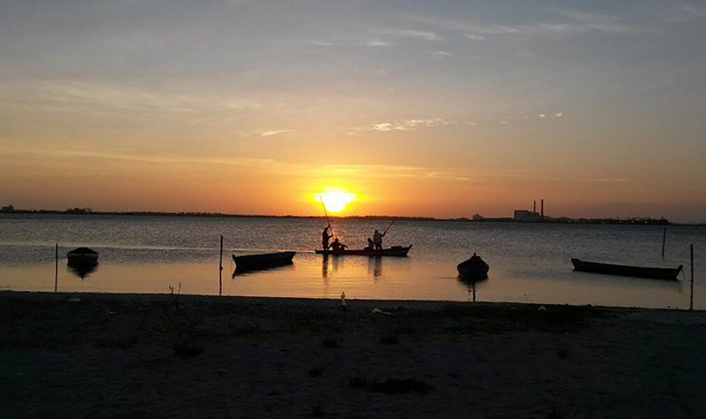 Cabo Frio destaca importância do cuidado após jacaré ser visto na lagoa