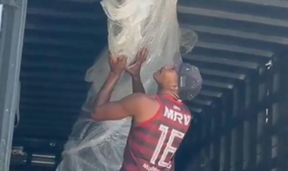 Arraial do Cabo investe em réplicas de animais marinhos para ações educativas