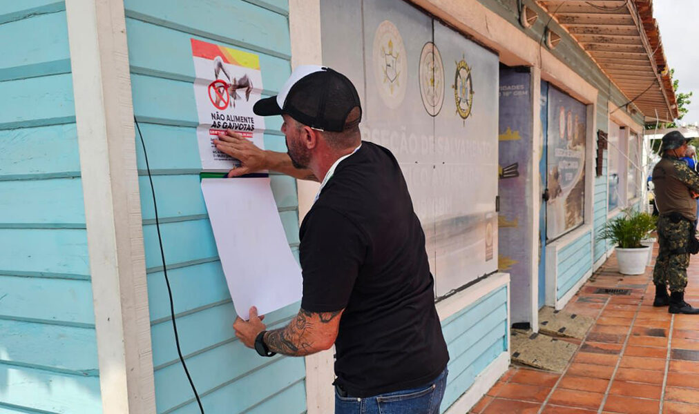 Cabo Frio reforça proteção à fauna com resgates de animais silvestres