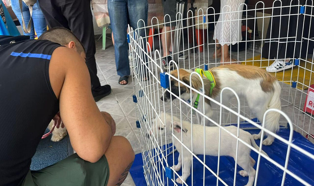 Cabo Frio realiza primeira feira de adoção animal do ano neste sábado