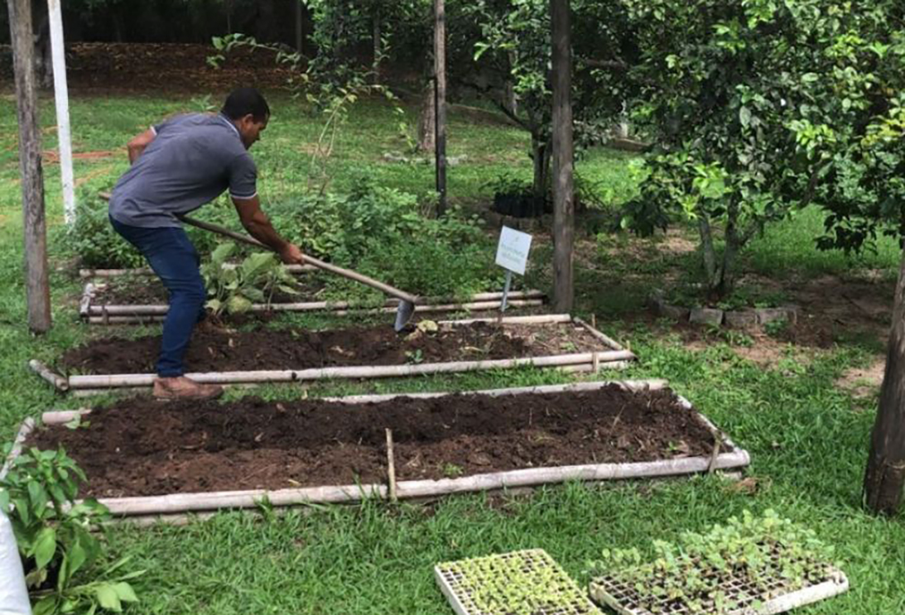 Saquarema promove ações em hortas de unidades de assistência do município