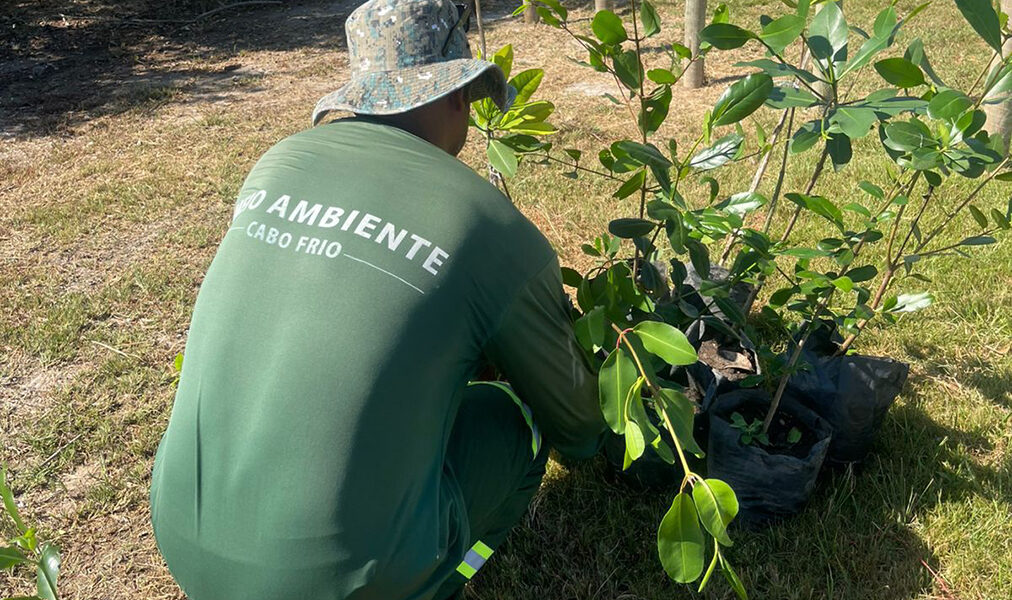 Cabo Frio amplia recuperação ambiental com novo plantio de mangue na Praia das Palmeiras