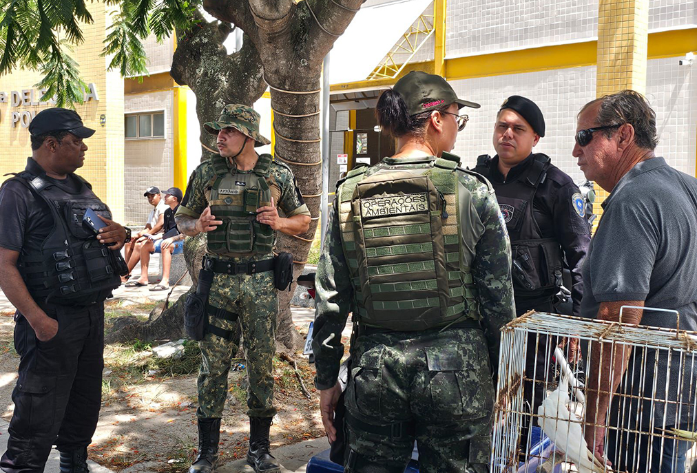 Prefeitura de Cabo Frio intensifica combate a maus-tratos e resgata animais na Praia do Forte
