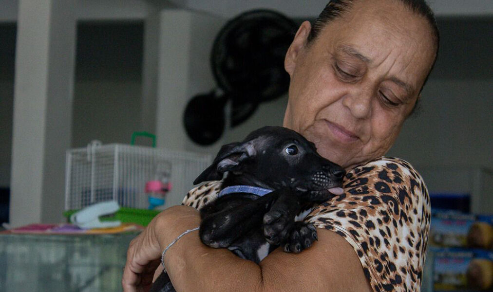 Cabo Frio realiza nova Feira de Adoção Animal no Centro neste sábado