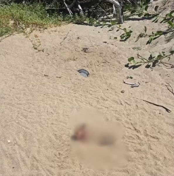 Caso de corpo enterrado parcialmente mobiliza polícia em Farol de São Thomé