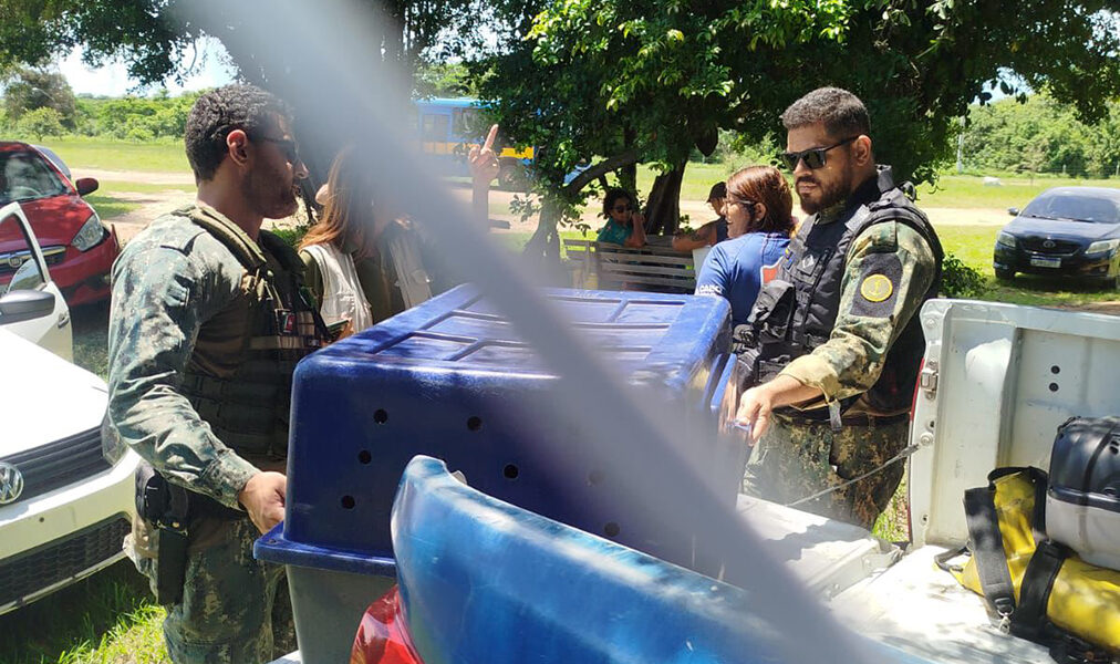 Cabo Frio intensifica resgates e socorre cães feridos em dois bairros