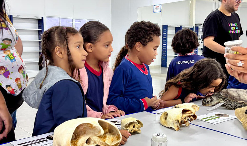 Estudantes de Arraial do Cabo participam de exposição sobre animais marinhos na escola