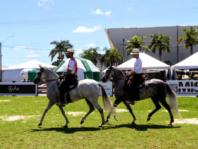 Macaé recebe evento nacional até o dia 21 com criadores de cavalos de todo o Brasil