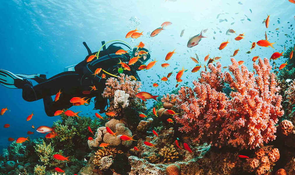 Arraial do Cabo abre vagas para aulas de mergulho voltadas a jovens