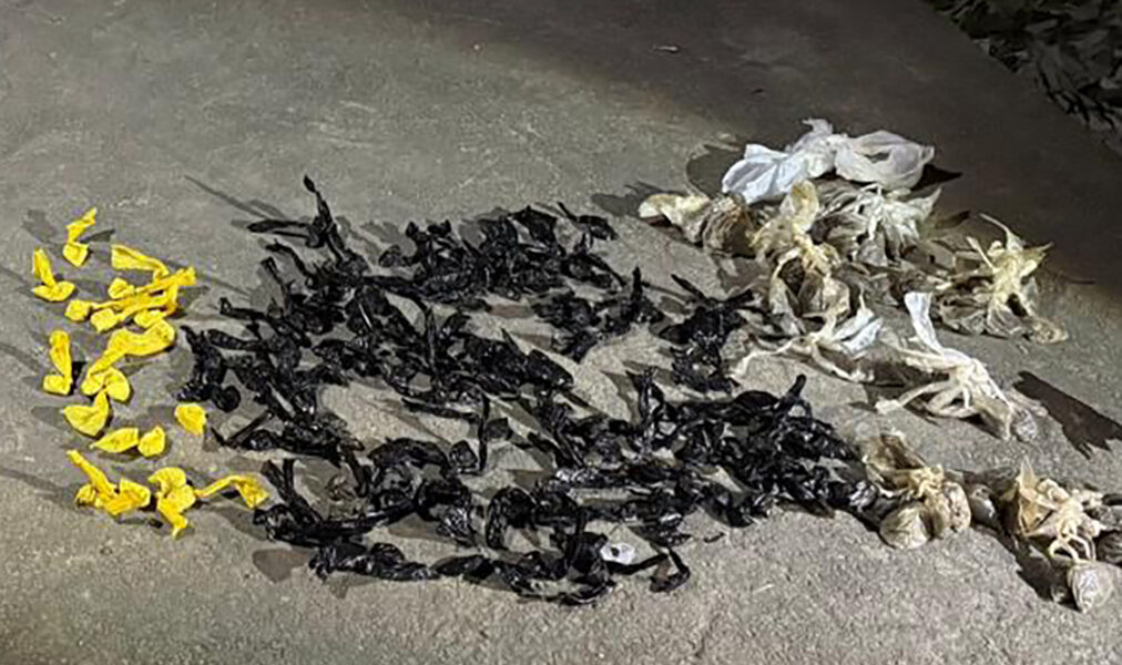 Menor de 13 anos é apreendido com arma e drogas em Nova Holanda