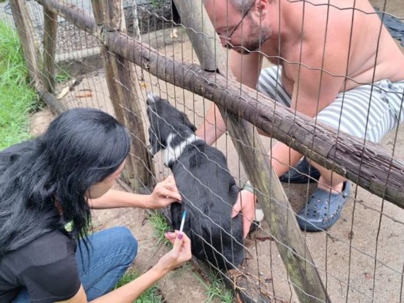 Vacinação antirrábica terá ação de reforço em Rio das Ostras nesse sábado, 11