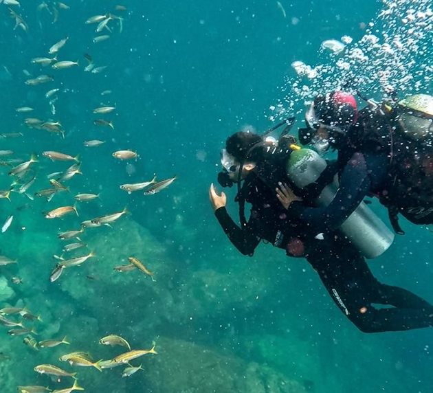 Arraial do Cabo recebe festival dedicado ao mergulho e à vida marinha
