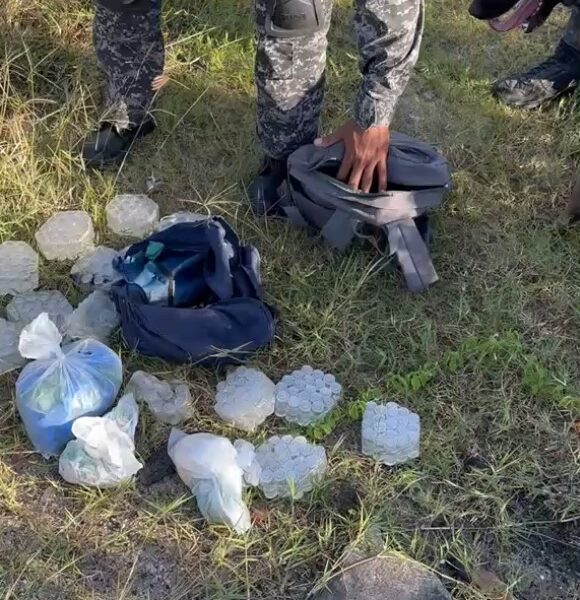 Cães farejadores ajudam polícia a localizar drogas escondidas em terreno baldio em Macaé