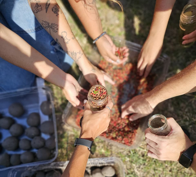 Arraial do Cabo aposta em educação ambiental com criação de bombas de sementes por estudantes