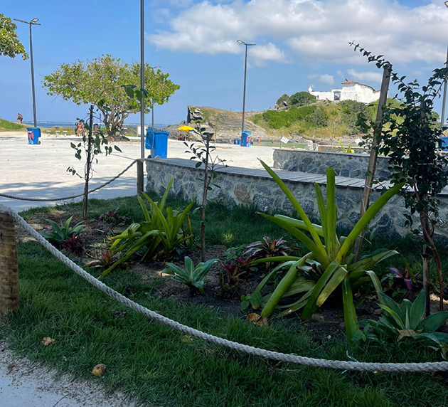 Prefeitura de Cabo Frio amplia serviços de arborização e segurança em espaços urbanos