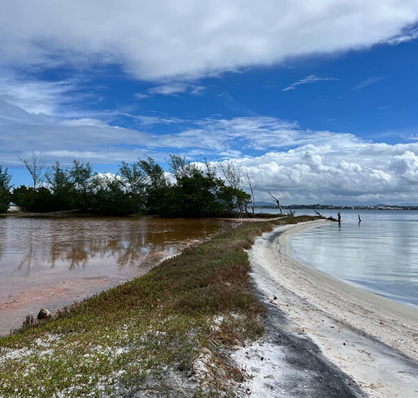 Ponta das Coroinhas ganha trilha ecológica e inauguração acontece em 12 de junho em Arraial