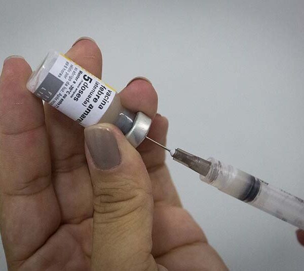 Macaé fortalece vigilância mesmo sem casos de febre amarela registrados