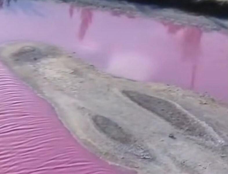 Fenômeno raro transforma paisagem das Salinas Perynas em Cabo Frio