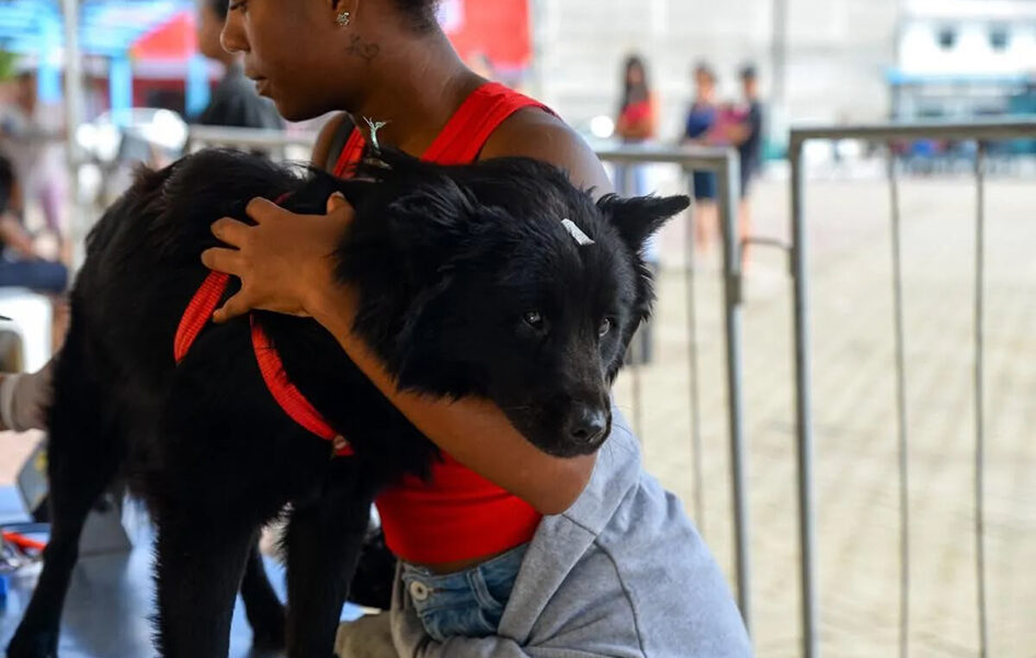Quase 2 mil animais já foram atendidos pelo Castra Mais RJ em Cabo Frio