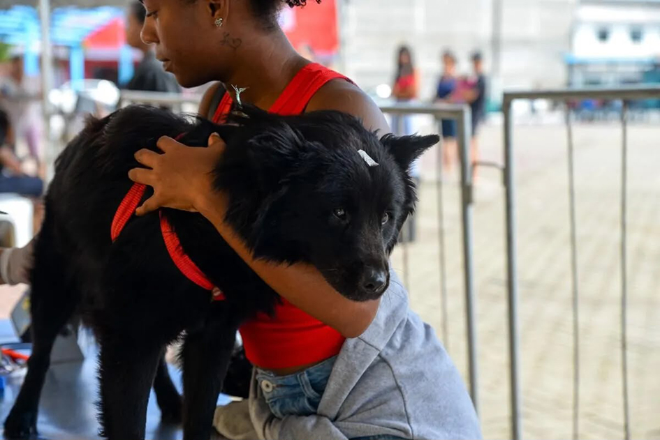 Quase 2 mil animais já foram atendidos pelo Castra Mais RJ em Cabo Frio