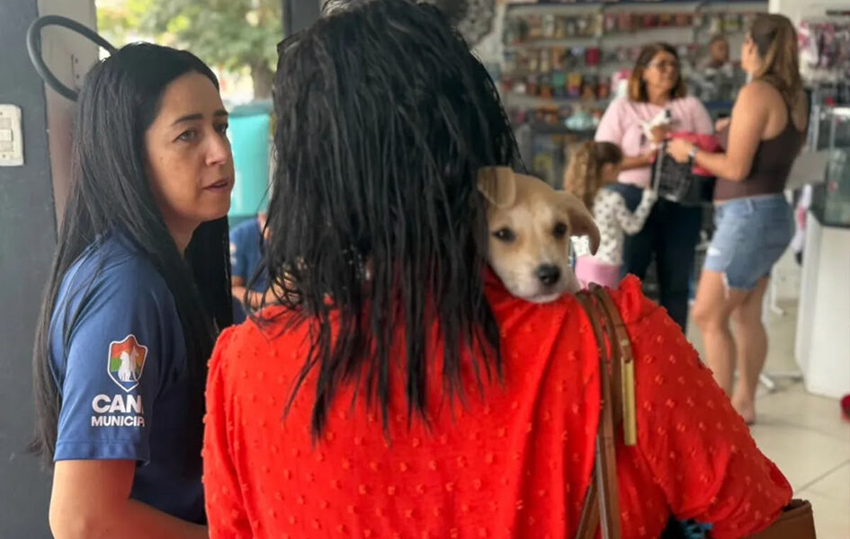 Cabo Frio oferece vacinação gratuita e adoção de animais neste sábado