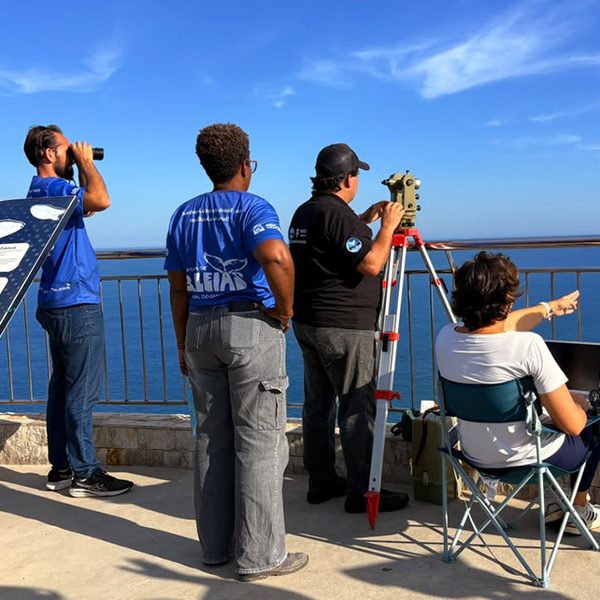 Julho concentra mais da metade dos avistamentos de jubartes em Arraial do Cabo