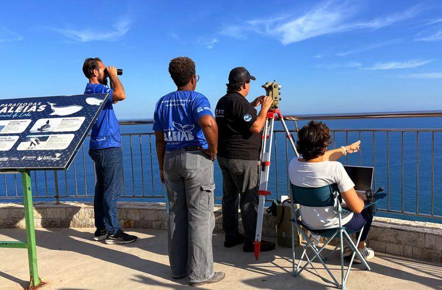 Julho concentra mais da metade dos avistamentos de jubartes em Arraial do Cabo