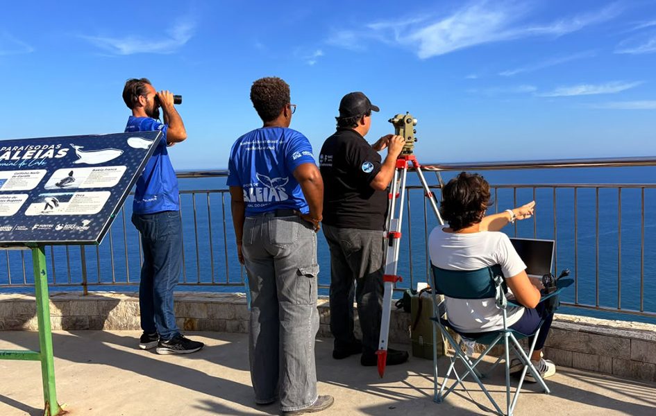 Julho concentra mais da metade dos avistamentos de jubartes em Arraial do Cabo