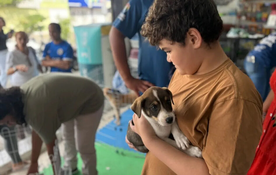 Um novo amigo! Cabo Frio promove feira de adoção e vacinação de cães e gatos
